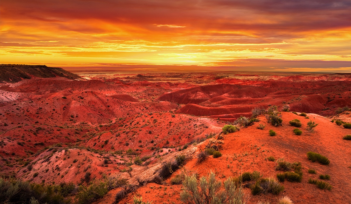 The Painted Desert: 5 Things to Do in this Arizona Treasure - YMT Vacations, image size:1200x697